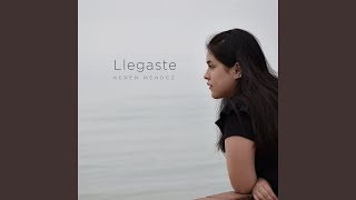 Llegaste