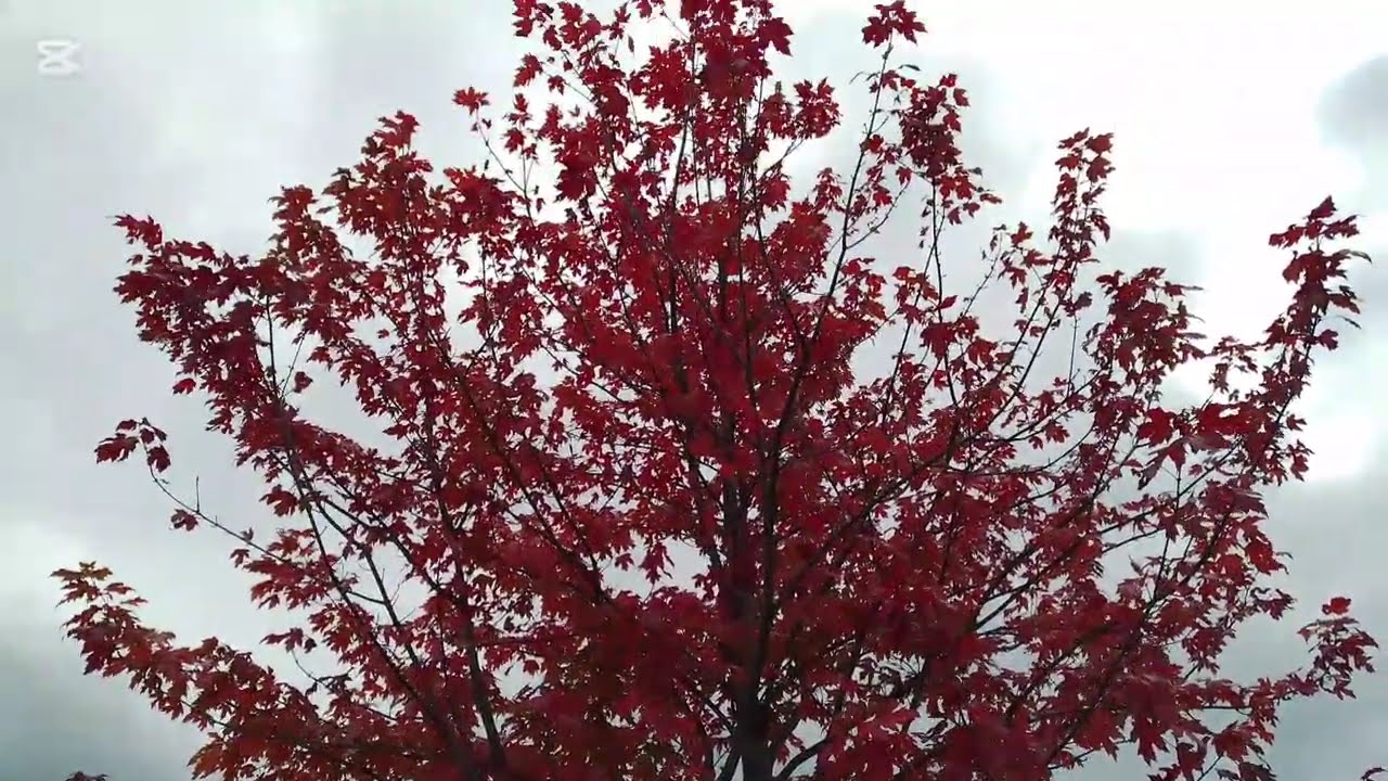Walking in the Port Union Waterfront trail 