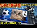 【W杯⚽️点数予想猫】「うん‼️」お返事ピノ😻日本対チュニジア戦 #ワールドカップ #日本代表 #サッカー #猫