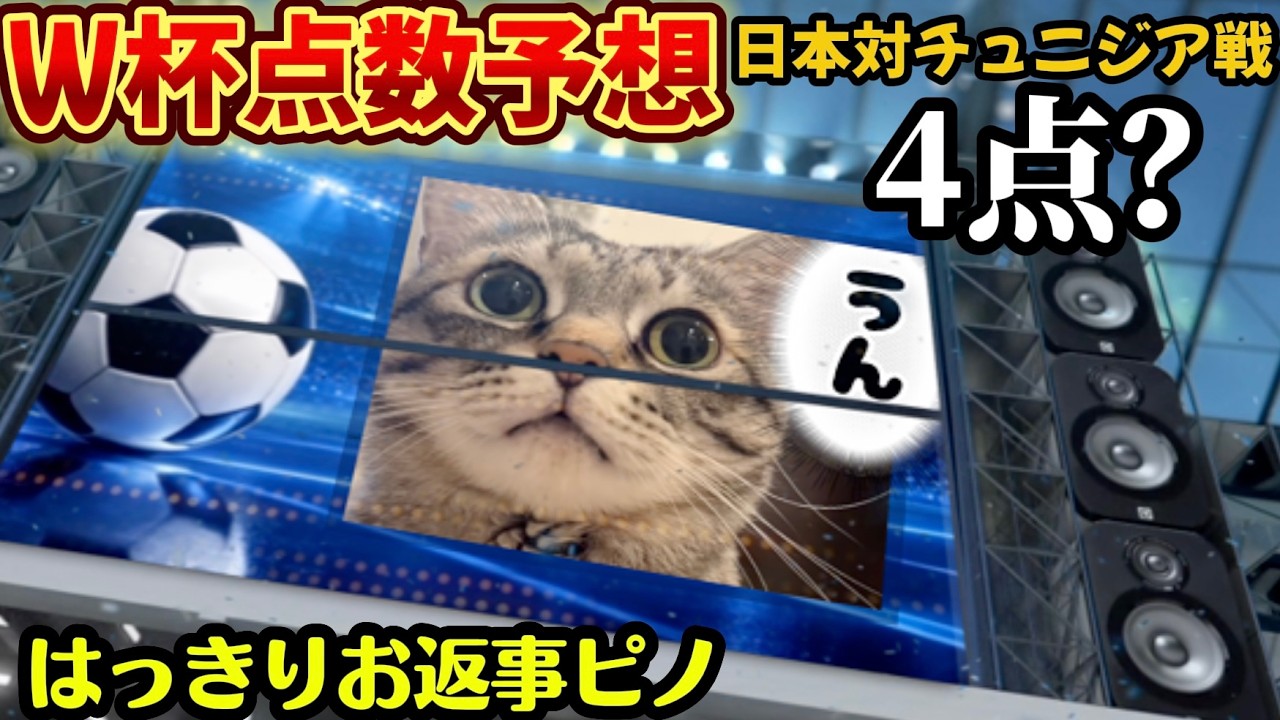 World Cup⚽️Score Prediction Cat】 