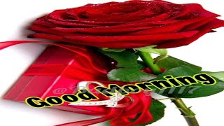 GOOD MORNING video - WhatsApp