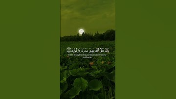 إِنَّا كَفَيْنَاكَ الْمُسْتَهْزِئِينَ - القارئ اسلام صبحي 💜