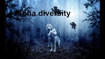 Alpha Diversity