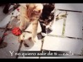 Sasha Benny y Erik - Cada Beso (Con letra)