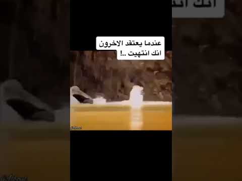 اتظن انك قد طمست هويتي ومحوت تاريخي ومعتقداتي انا كالقيامة ذات يوما ات