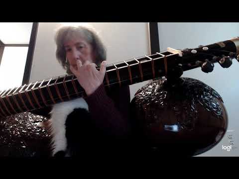 Raga Gauri composition on Rudraveena with cat