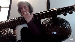 Raga Gauri composition on Rudraveena with cat