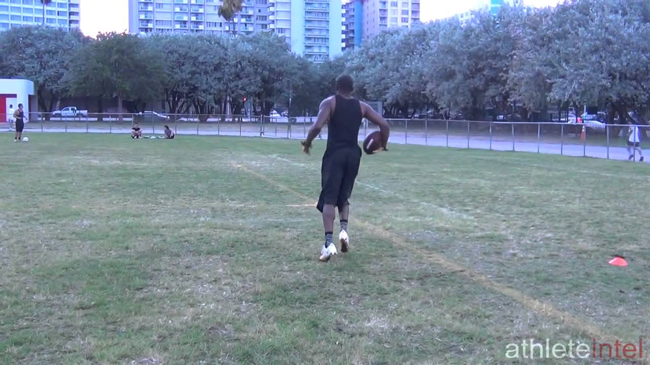 Ochocinco, Antonio Brown, Mike Wallace, and BJGE offseason workout