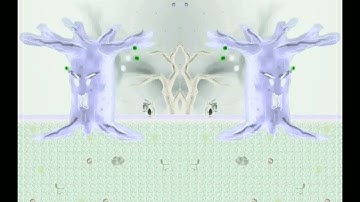 SuperTux 0.6.3 Ghost Tree