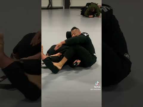 Vien Jiu Jitsu - Gee Vien & April Parks