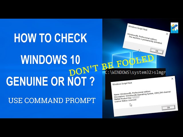 Как проверить статус активации в Windows 11/10