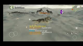 Wolf online Mod Points Script Hack 2025