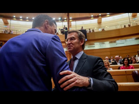 Pulso en el Senado entre Pedro Sánchez y Alberto Núñez Feijóo | Sánchez llama "estorbo" al PP