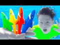 색칠공부를 하면 ? Learn Shark Colors with Adriana and Ali | 핑크퐁 체조! 유치원 교육, 인기동요