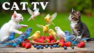 4K HDR CAT TV😻 So Many Birds Fun at Fall Festival🍂 Relaxing Bird Sounds For Separation Anxiety