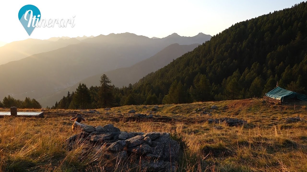 ITINERARI: VAL GEROLA, ALPE OLANO VITA IN ALPEGGIO