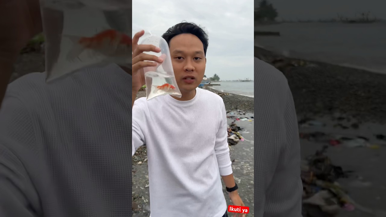 Ngelepasin ikan Koi ke laut 