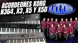 Acordeones Black Power para Korg N364, X5D, X3