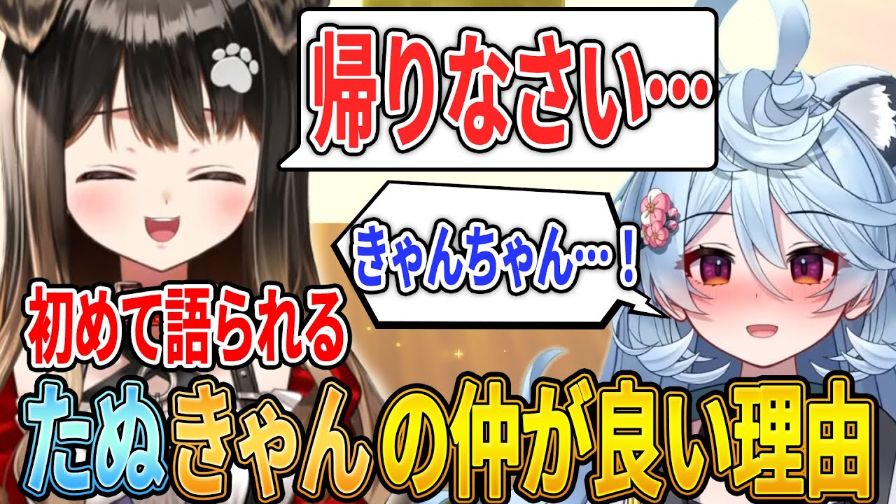 デビュー後初めて語られるたぬきゃんが仲良くなった理由と馴れ初めの話【#ぶいぱい/#たぬきゃん】