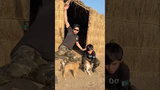 Commando forces #comedy #foji #military #solider #militarypower #commandochallenge #army #ssg