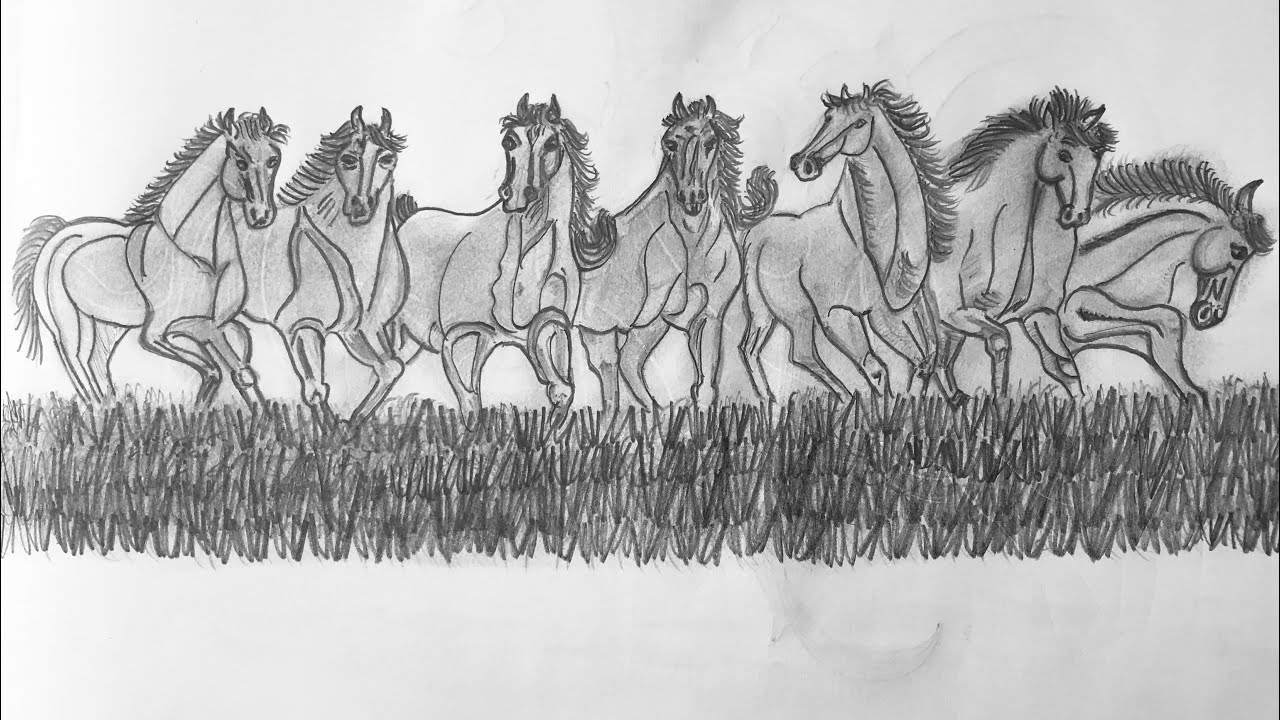 Seven Horses Drawing | Step by Step | Easy drawing with pencil ...