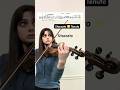 Staccato 🆚 Tenuto #violinist #classicalmusic #shorts #practice #musician #strings #musicteacher