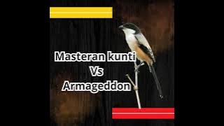 Masteran cendet kunti vs armageddon terbaru 2025 #masteranonline