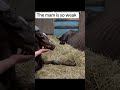 Please donate something to help us help the mam #horse #horseshelp #helpthemfoundation #donaters