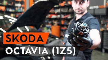 Hoe een oliefilter en motorolie vervangen op een OCTAVIA (1Z5) [AUTODOC-TUTORIAL]