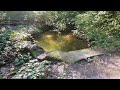 31.08.2025 - Bergsee - Bad Säckingen - (D) - Germany 🇩🇪