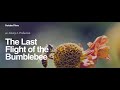 Capture de la vidéo The Last Flight Of The Bumblebee - A Nature Film