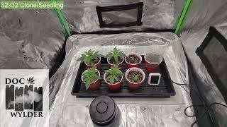 ORGANIC SOIL RECIPE AND INTEGRATED PEST MANAGEMENT! | EPIC ORGANIC GARDENING W⧸ ZOLTRIX GROWER & TNB