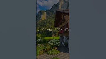 تلاوة عطرة للقارئ محمد صديق المنشاوي من سورة الكهف#القرآن #محمد #المنشاوي #سورة_الكهف