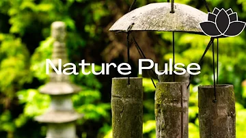 Peaceful music, Relaxing music and Meditate  Instrumental music "Birds of Spring" by Nature Pulse