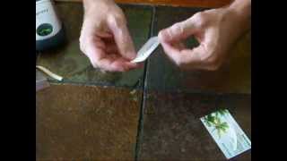 Blank Name Tags with Label
