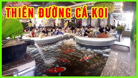 QUÁN CÀ PHÊ CÁ KOI Sân Vườn Đẹp độc nhất Sài Gòn | New Koi Coffee