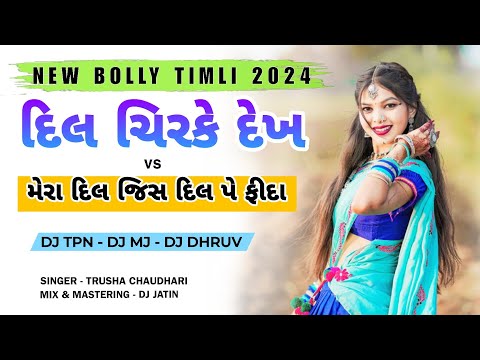 Dil Chir Ke Dekh - Mera Dil Jis Dil Pe Fida Hai | New Bolly Timli 2024 (Dj Tpn - Dj Mj- Dj Dhruv)