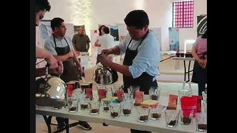 Realizando un video del protocolo de Catación SCAA.