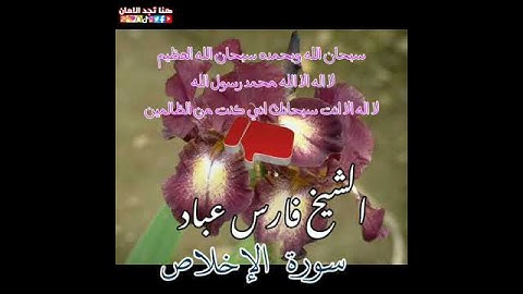 سورة الإخلاص | الشيخ فارس عباد،،، استغفر الله العظيم واتوب اليه ❤️🍂❤️♥️