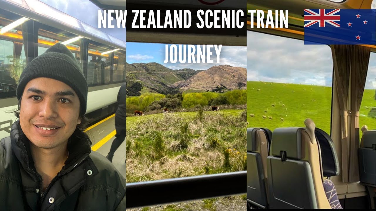 🇳🇿 New Zealand Scenic Train Journey from Kaikoura to Christchurch | Coastal Pacific