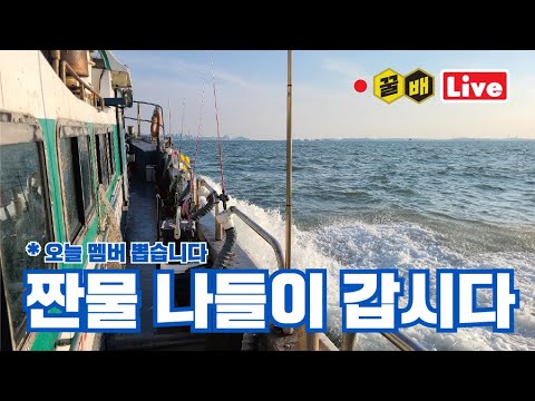 ※중요※ 가을특집 쭈갑동출 <strong>추첨식</strong> [꿀배Live Vol.195]