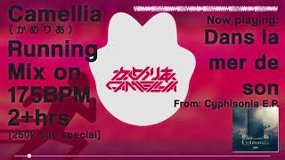 Camellia(かめりあ) 2hrs+ 175BPM mix [250ksub special]