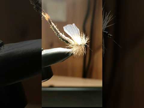 СУХАЯ МУШКА ПОДЁНКА #fishing #flytying #снасти #поденка #мушка