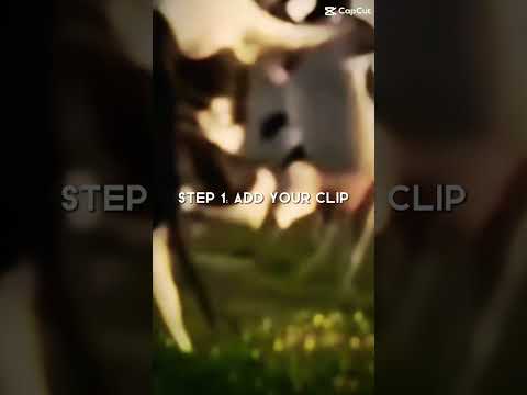 Cows dancing 💃