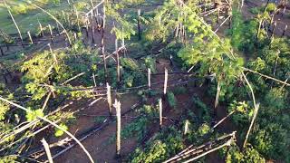 DRONE VIDEO: Storm Damage in Spartanburg