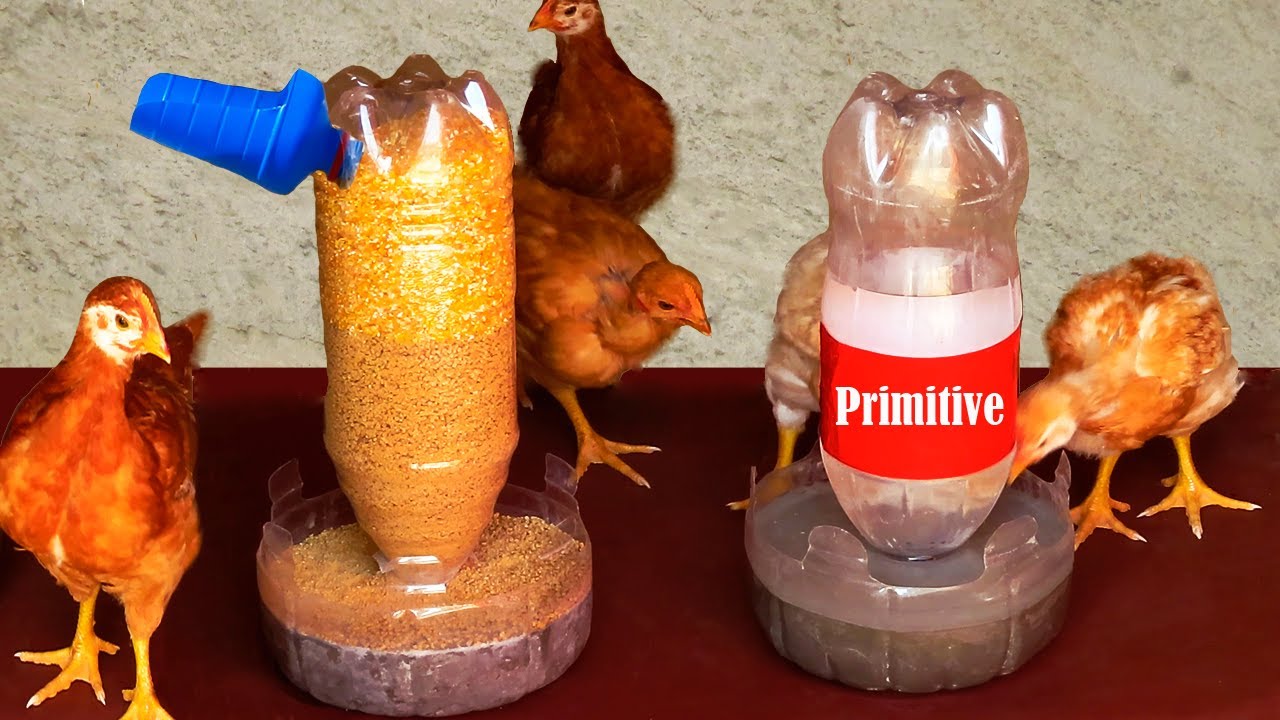 Sinis helicóptero nombre cómo hacer un comedero y bebedero automático para pollos y gallinas con  botellas de plástico - YouTube