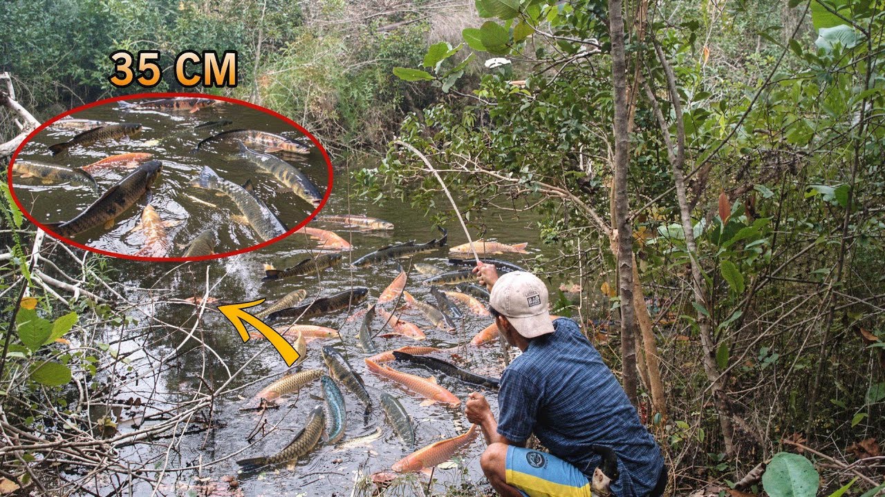 I fished in a river full of fish!! and look what I got