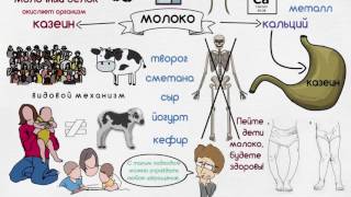 Вся правда о молоке Вся правда о молоке