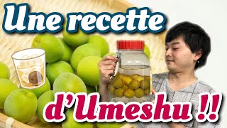 CUISINE JAPONAISE : ALCOOL DE PRUNES  JAPONAISES UMESHU!!