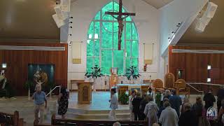 Daily Mass